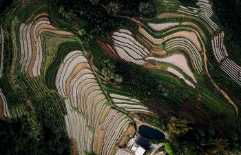 Aerial photos show spring view of fields at Sanzhang Village in S China