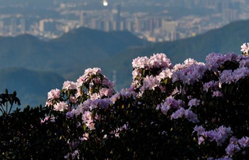 Flowers enter blossom season across China