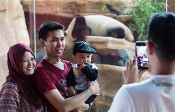 Giant pandas become icons of Indonesian animal park