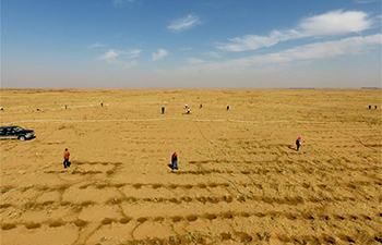 Desert greening work in progress in Bayannur, north China