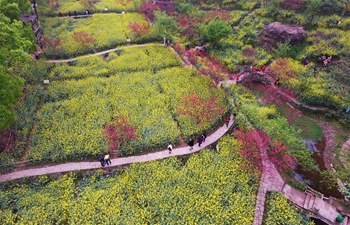 Spring scenery in Sichuan Fine Arts Institute in China's Chongqing