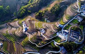 Scenery of Fengyan Terraces in NW China's Shaanxi