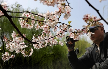 Flowers blossoms at Shanghai Botanical Garden in E China's Shanghai