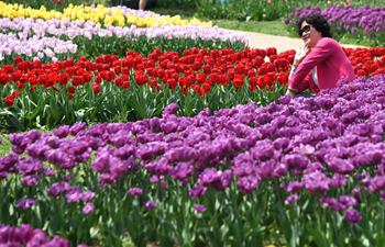 A look at tulip theme park in Wuhan