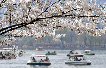 Visitors enjoy cherry blossoms at Yuyuantan Park in Beijing