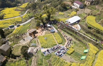 Cole flower fields help boost tourism in Qiantan Township, E China