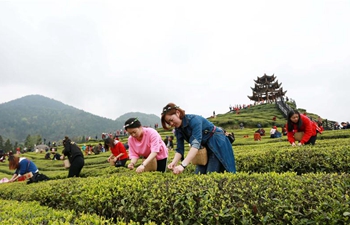 Tea picking across China