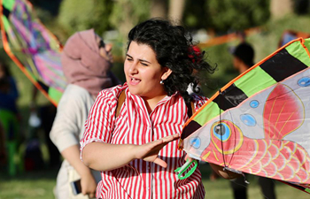 Kite festival held in Baghdad, Iraq