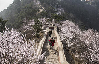 People enjoy blooming flowers across China