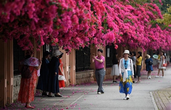 In pics: plum blossoms in Nanning, S China's Guangxi