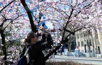 In pics: Flowers blossom in Frankfurt