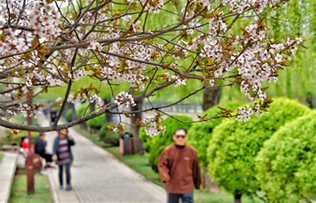 People enjoy spring scenery at Yuandadu Park in Beijing