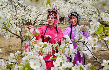 Opera lovers in costumes perform at pear garden in N China
