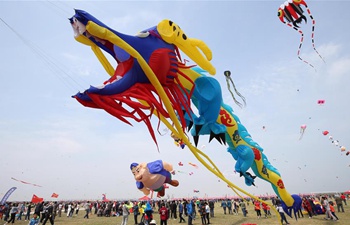 Kite fair held in Weifang, China's Shandong