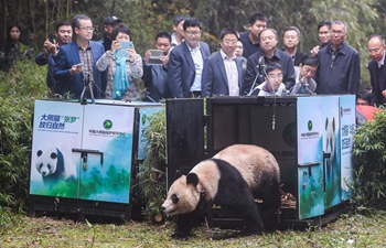 Giant panda bases restored after Sichuan earthquake