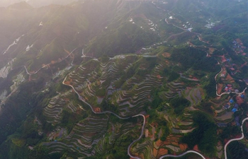In pics: terraced fields in south China's Guangxi
