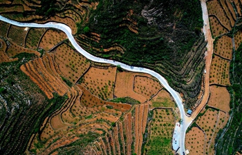 In pics: terraced fields and roads in N China's Hebei