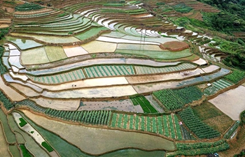 Aerial view of terraced fields in Hanshan, S China's Guangxi