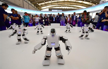 In pics: robots featured at Silk Road expo in China's Xi'an