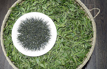 Intangible cultural heritage: Enshi Yulu Tea
