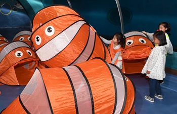All night camp makes children closer to marine animals at Ocean Park in Qingdao