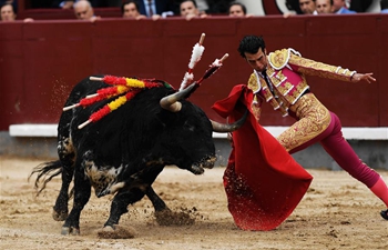 Bullfight held at Plaza de Toros de Las Ventas in Madrid, Spain