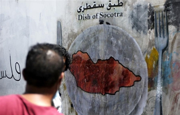 Graffiti campaign launched in Sanaa, Yemen