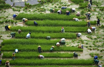 Farmers busy with field work before deadline for sowing activities across China