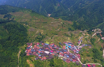 Aerial view of terrace fields in S China' Guangxi