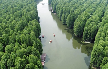 Aquatic forest park in Xinghua, E China's Jiangsu