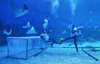 Divers play football underwater at ocean park in east China's Shandong
