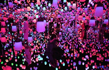 Mori Building Digital Art Museum opens in Tokyo