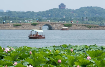 Lotus flowers draw tourists at West Lake scenic area in Hangzhou