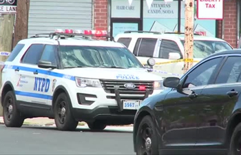 Three dead in New York strip mall shooting