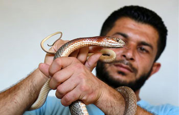 Feature: For Palestinian man in Gaza, even raising pet snakes is not a cheap hobby
