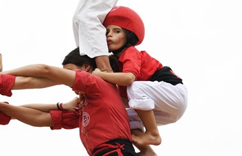 Performers form human towers during Smithsonian Folklife Festival