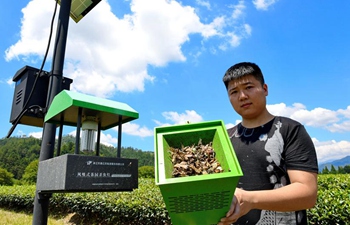 Green pest control technologies adopted in tea gardens in SE China
