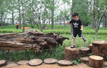 Urban forest park open to public in Beijing