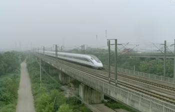 Happy Birthday! China's homegrown high-speed rail marks 10th anniversary