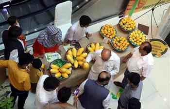 Mango festival kicks off in Islamabad, Pakistan