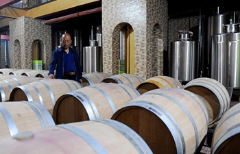 Wine industry in good momentum in northwest China's Ningxia