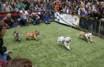 In pics: "Pet-A-Palooza" event held in Vancouver, Canada