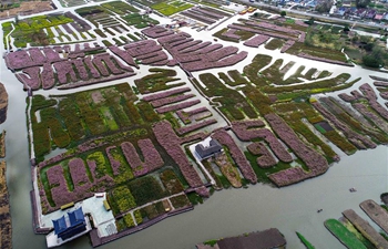 Flowers bloom in E China's Jiangsu