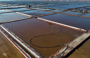 Salt harvested at Daqinghe sea salt flat in Tangshan, China's Hebei
