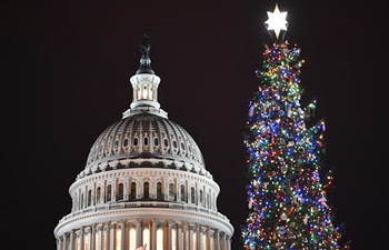 People attend Capitol Christmas Lighting Ceremony in Washington