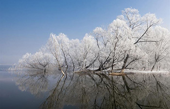 Frosty scenery seen in Tianjin