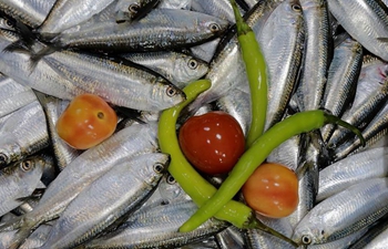 Freshwater sardines now on endangered species list