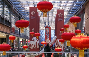 Chinese cultural celebrations for upcoming Spring Festival kick off in downtown Berlin