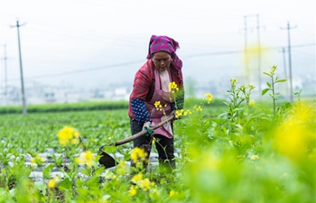 Guizhou gov't increases poverty alleviation efforts in rural areas
