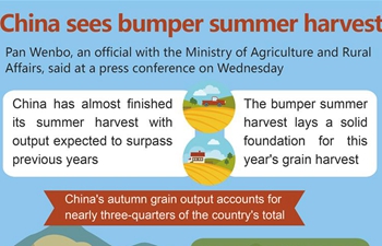 China sees bumper summer harvest